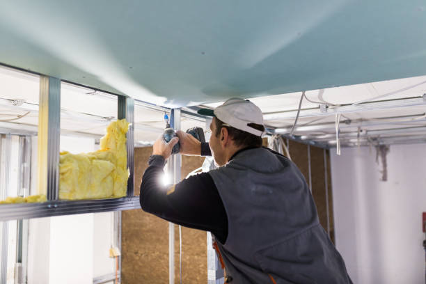 Best Insulation Replacement Services  in Tahlequah, OK