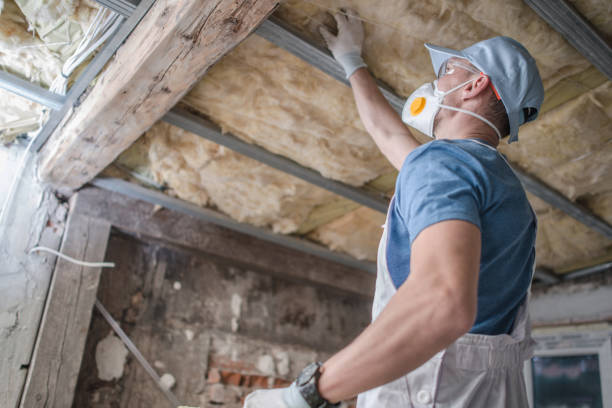 Best Home Insulation Services  in Tahlequah, OK