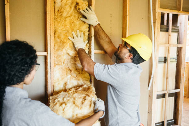 Best Wall Insulation Contractor  in Tahlequah, OK