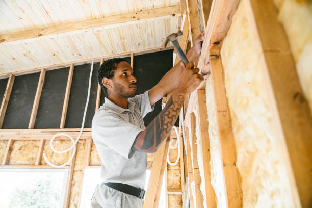 Best Insulation Removal  in Tahlequah, OK